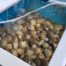 마산수산시장 이미지