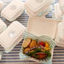 피크닉(샌드위치 앤 과일도시락) 이미지