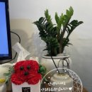 용인대 양천유도관 본관 이미지