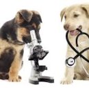 큰사랑동물병원 이미지