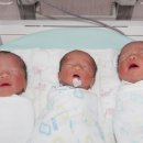 순천향대학교부천병원 이미지