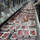 코스트코홀세일 김해점 이미지