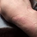 살구숲한의원 이미지