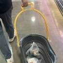 쏭이네마트 이미지