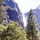 Bridalveil Fall of Yosemite 이미지