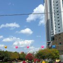 버스정류소_화곡본동시장 | [부산_ 해운대시외버스정류소] 부산 해운대 시외버스 정류소 | 해운대 버스 시간 요금 예매 방법
