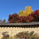 강북정동웨딩극장 | [서울/정동길] 가을 단풍 명소 정동길 산책 코스 추천! 세실마루 전망대 덕수궁 돌담길