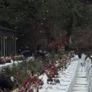 본우리집밥 서울교통공사사당별관점, 서울교통공사 사당별관 | [웨딩 베뉴] 르한스(구. 한스갤러리), 감각적인 웨딩홀 💐