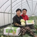 가브리엘 농장 이미지