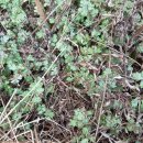 비지1리 이미지