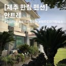 원원펜션 | [제주도 숙소] 한림 펜션 제주도 서쪽 아기랑 숙소 갈 만한 곳 : 안트레
