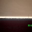 순천만습지 이미지