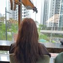 찰스리헤어테크천안성성동레이크타운점 | 성성동미용실 찰스리헤어테크 성성동레이크타운점 톤다운 후기
