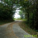 무지개길 이미지