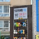 행복한모루도서관 | [행궁동] 이색데이트 | 내돈내산 | 솔직후기 | 📍감정선프로젝트 (모루인형만들기)