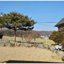 고양이 행복 쉼터 이미지