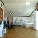 통영터널로가로수 이미지