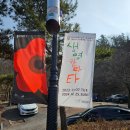 생명예찬1 | 남원 시립 김병종미술관 교육동 콩 개관 기념전시 [생명 칸타타] 관람 후기 - 1