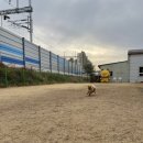 최우식동물병원 이미지