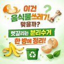 낭비성 | 음식물쓰레기 분리수거 완벽 가이드/ 귤 껍질 •바나나 껍질•수박 껍질