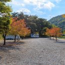 파인 오토 이미지