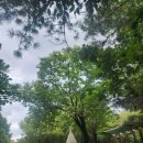 달맞이공원 화장실 이미지