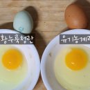 우 드림농장 이미지