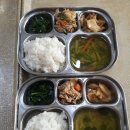 2019년 4월 9일 화요일 - 백미밥,애호박맑은국,간장닭갈비,부추나물,배추김치 이미지
