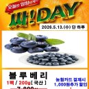 강원양돈농협 하나로마트 티스토리