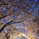 세븐일레븐 경의숲길점 이미지