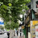 2633 | [영등포] 역이랑 가까운 신전떡볶이 중간맛 떡볶이와 튀김 내돈내산 솔직후기