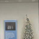 에그뮤즈 스킨스칼프 이미지