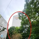 신내로21길 네이버블로그