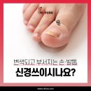 레푸스 성남태평점 이미지