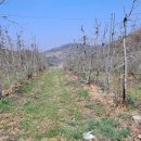 덕산면049 이미지