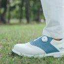 슈올즈평택서정리점