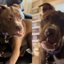 견생공감 이미지