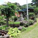 삼막골농원 이미지