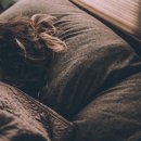 도움약국 이미지