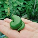 희진농장 이미지