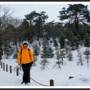 삼영목장 이미지