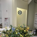 듀엘현대 - 고양시 일산서구 호수로 817 | 고객들이 먼저 알아보는 매장 분위기 남양주 현대아울렛 듀엘 조화플랜테리어 후기