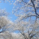 김천초등학교 이미지