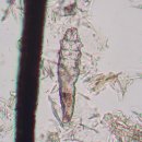 나아라 동물병원 이미지