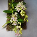 제주의 사색 이미지