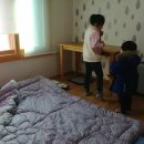 태림민박 이미지