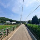 원덕농장 이미지