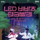 태권이든 이미지