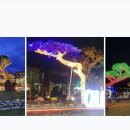 곡성-202 이미지