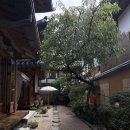 너나들이센터 화장실 | [은평구 한옥마을] 한옥 포지티브스